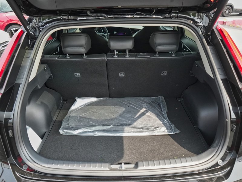 2024 KIA NIRO EV WAVE FWD